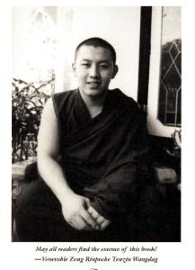 kyabje_zong_rinpoche_tenzin_wangdag-content