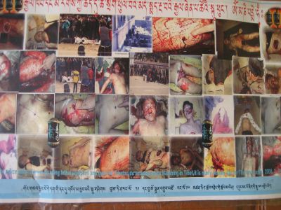 tibetan_poster-content